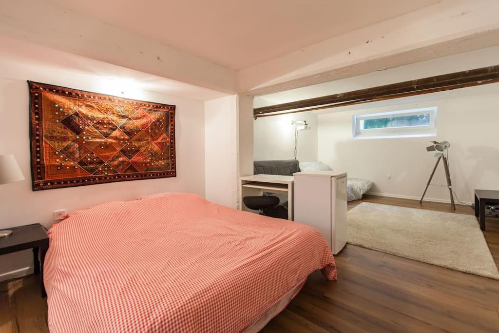 R-Appartements Strasbourg Cosy Orangerie Pour Vos Sejours En Famille Ou Entre Amis Esterno foto